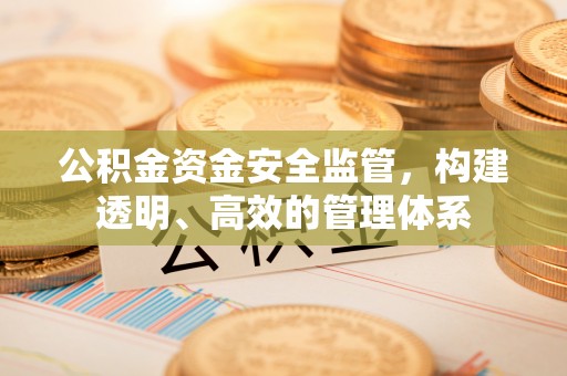鹤峰公积金资金安全监管，构建透明、高效的管理体系