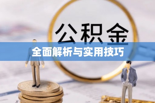 鹤峰全面解析与实用技巧