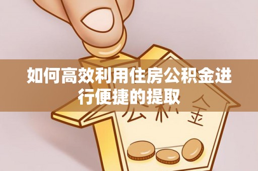鹤峰如何高效利用住房公积金进行便捷的提取
